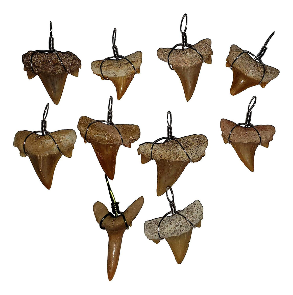 Make-Your-Own Fossil Shark Tooth Necklace Kits - Set of 10 - dinosaursrocksuperstore
