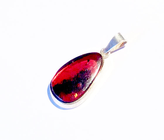 Sterling Silver Amber Pendant with Inclusions - dinosaursrocksuperstore
