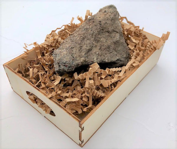 ★☆中古美品！ FOSSIL Natural 154cm 2017年モデル 赤 中古美品！ FOSSIL Natural 154cm 2017年モデル 赤 - メルカリ