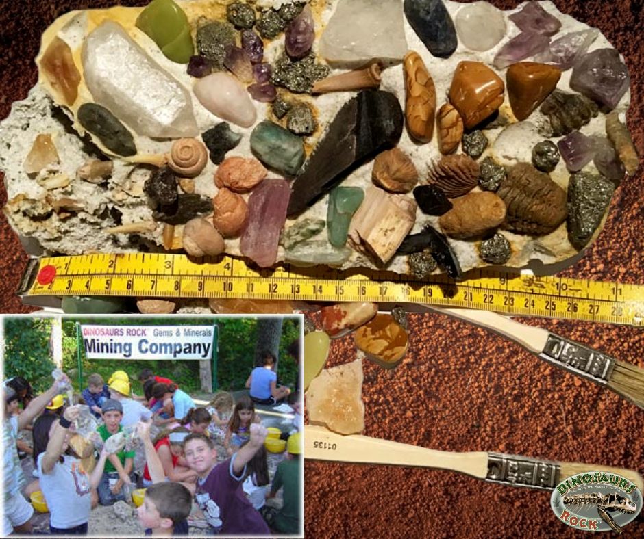 DINOSAURS ROCK Mega Gemstone & Fossil Dig Excavation Kit Over 50 Real Specimens - dinosaursrocksuperstore