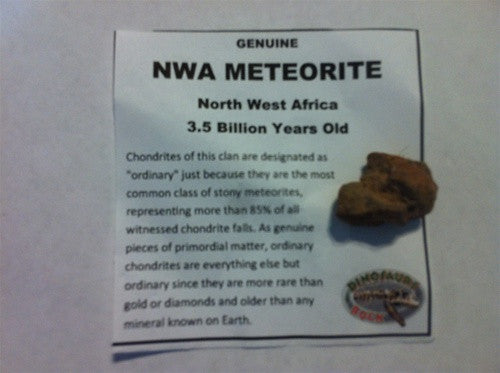 Genuine NWA Meteorite - dinosaursrocksuperstore