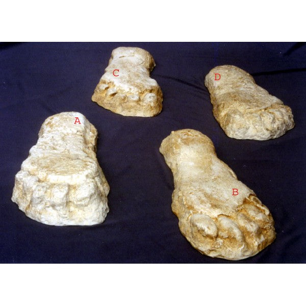 Yeti Bigfoot Single Footprint Left - dinosaursrocksuperstore