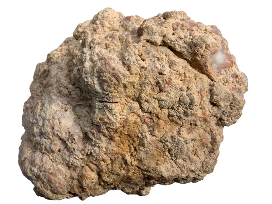 Dinosaur Coprolite – Fossilized Dino "POOP" 10" - 28LBS! (A5)