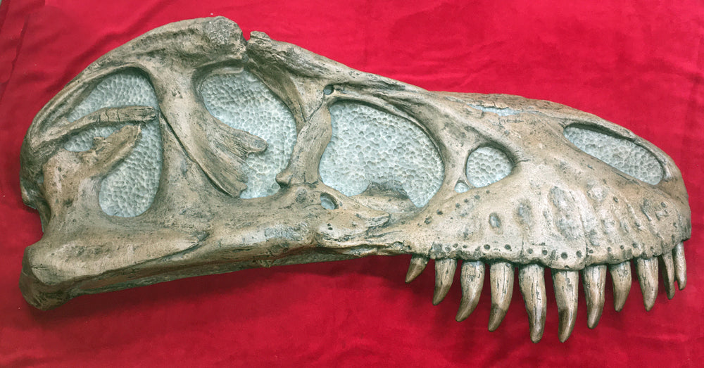 Tyrannosaurus rex Life-Size Skull Replica - Sculpture