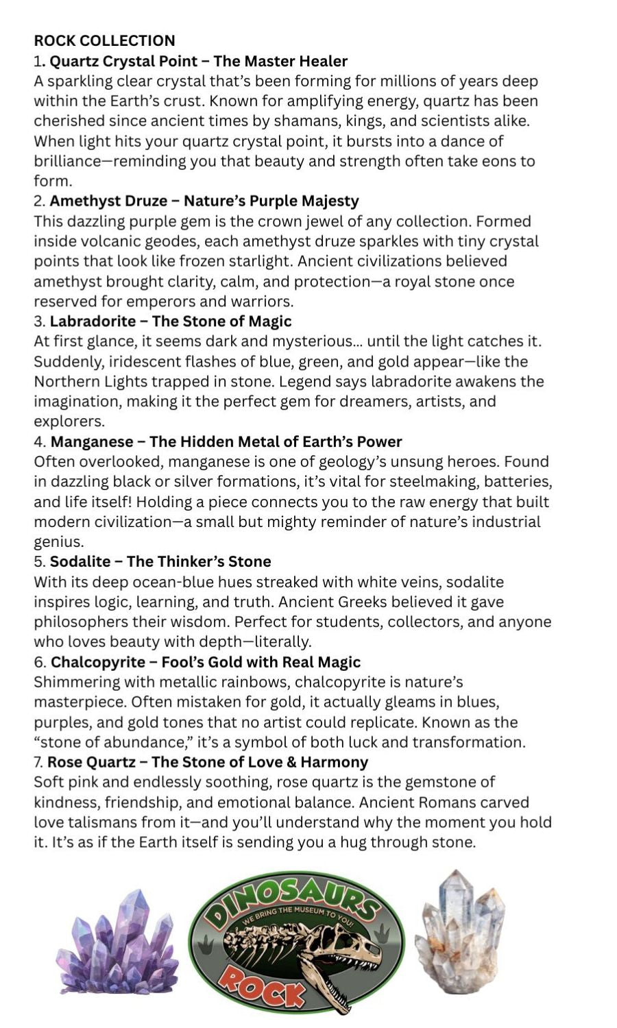 7-Pce Rock Collection with FREE Genuine Fossil Shark Tooth Necklace FREE SHIPPING