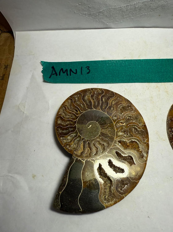 Ammonite Pair (AMN13) - Split & Polished - Madagascar - 3.75 Inches from DINOSAURS ROCK (Copy)
