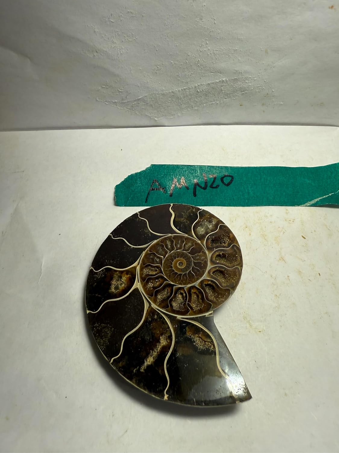 Ammonite Pair (AMN20) - Split & Polished - Madagascar - 3.25 Inches from DINOSAURS ROCK