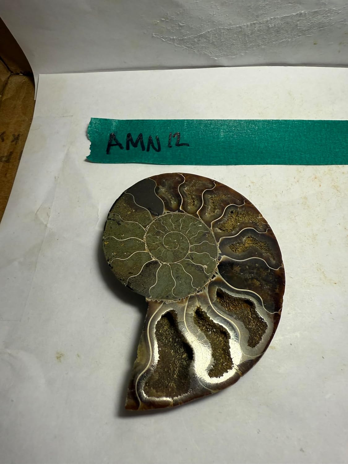 Ammonite Pair (AMN12) - Split & Polished - Madagascar - 4 Inches from DINOSAURS ROCK