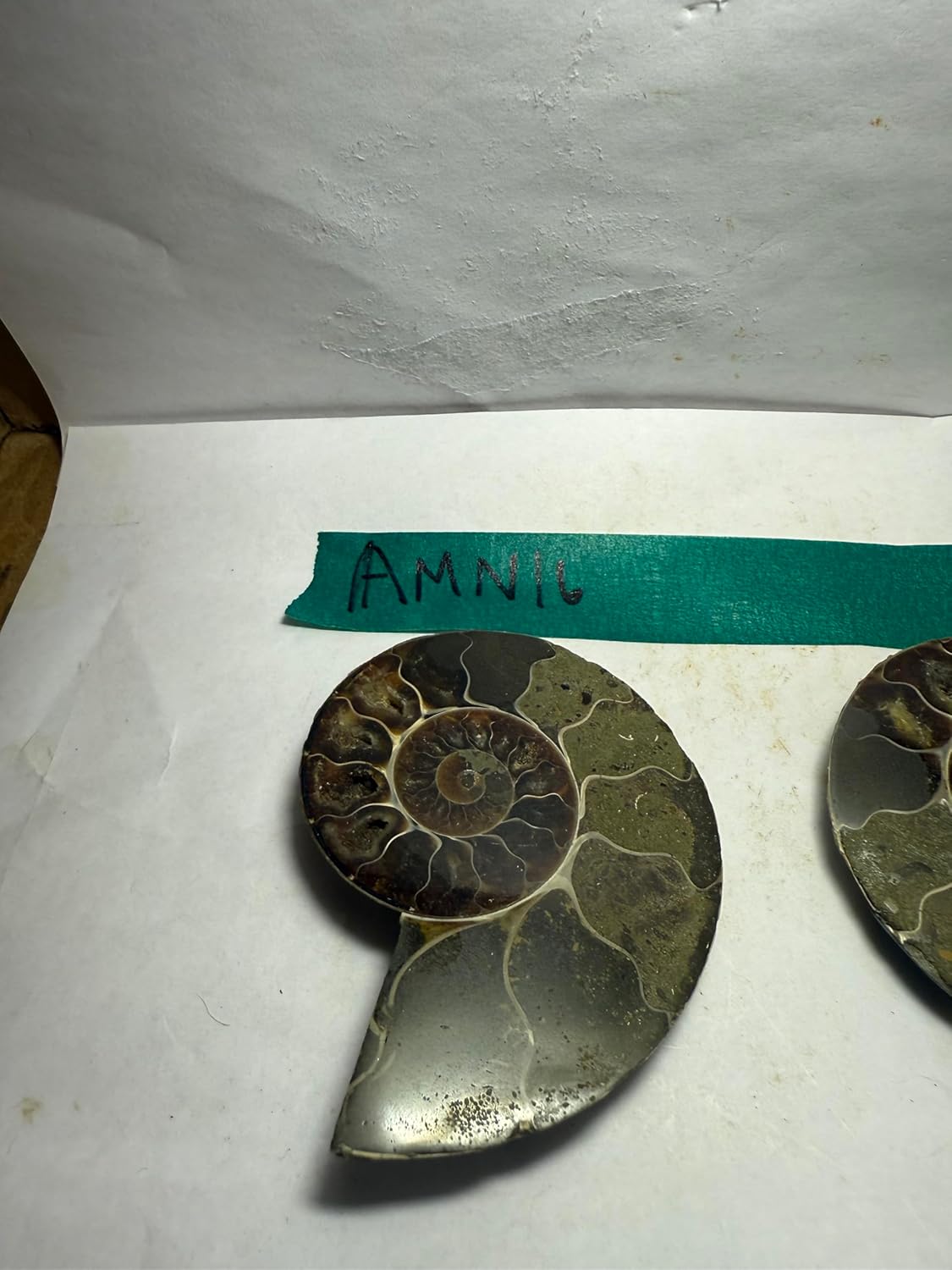 Ammonite Pair (AMN16) - Split & Polished - Madagascar - 3.5 Inches from DINOSAURS ROCK