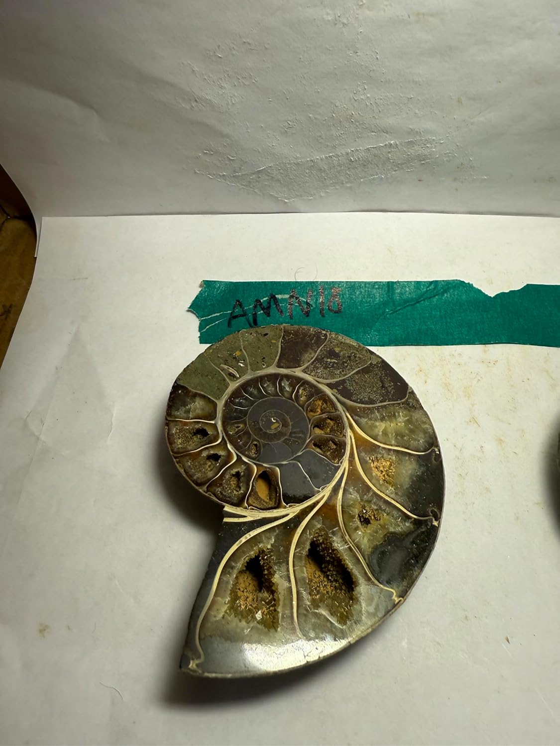 Ammonite Pair (AMN18) - Split & Polished - Madagascar - 3.5 Inches from DINOSAURS ROCK