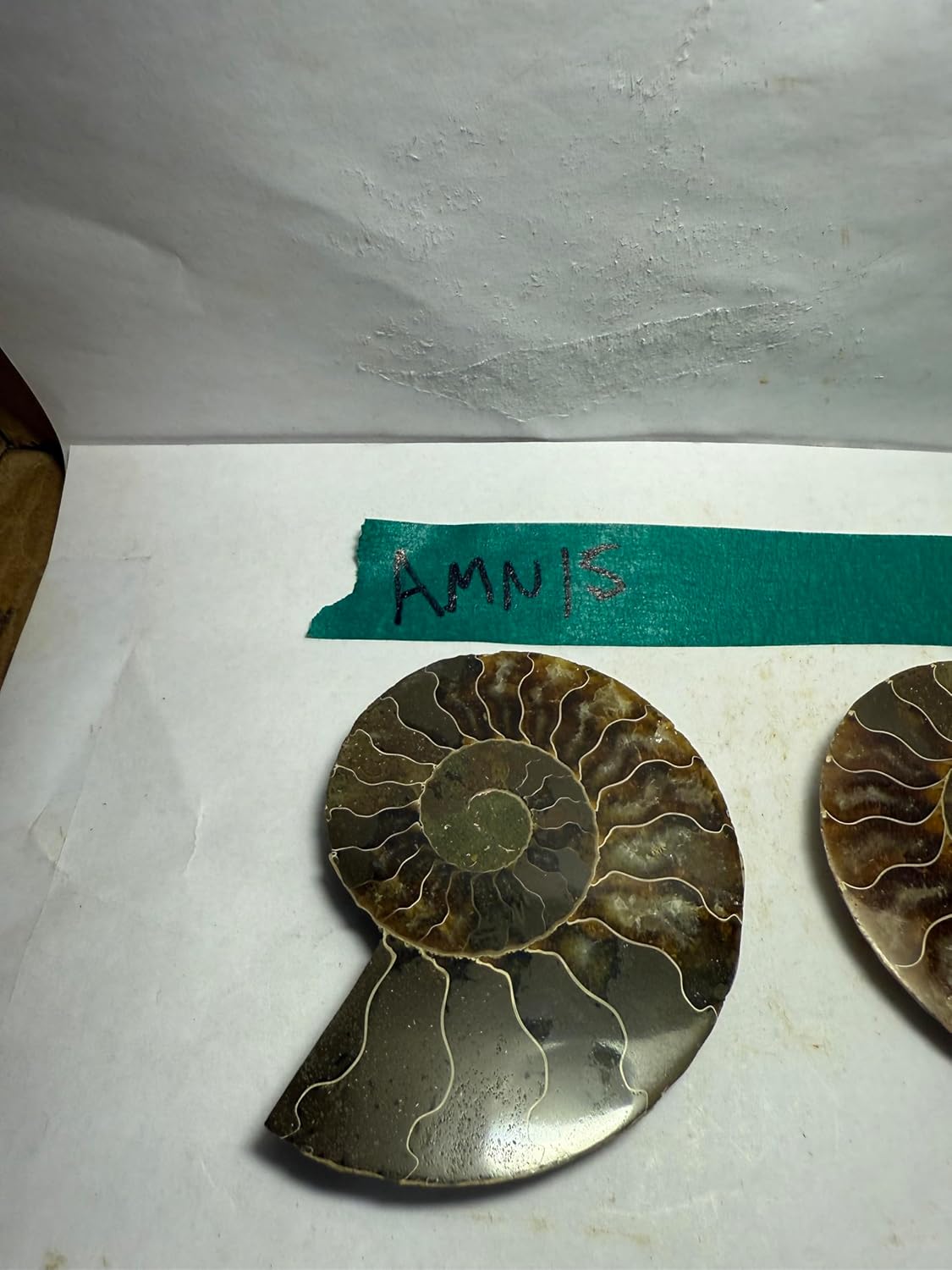 Ammonite Pair (AMN15) - Split & Polished - Madagascar - 3.25 Inches from DINOSAURS ROCK