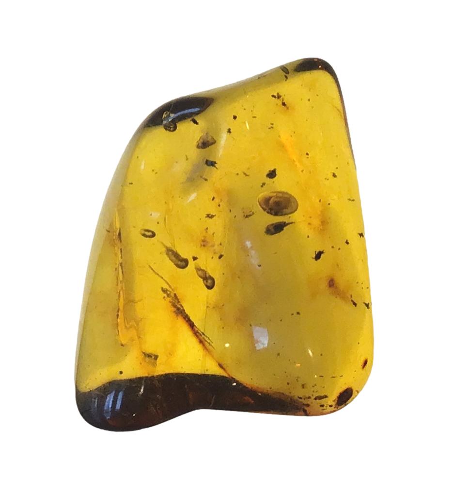 Genuine Amber Specimen with Insect Inclusions - Originally $150, Now $99 (A15)