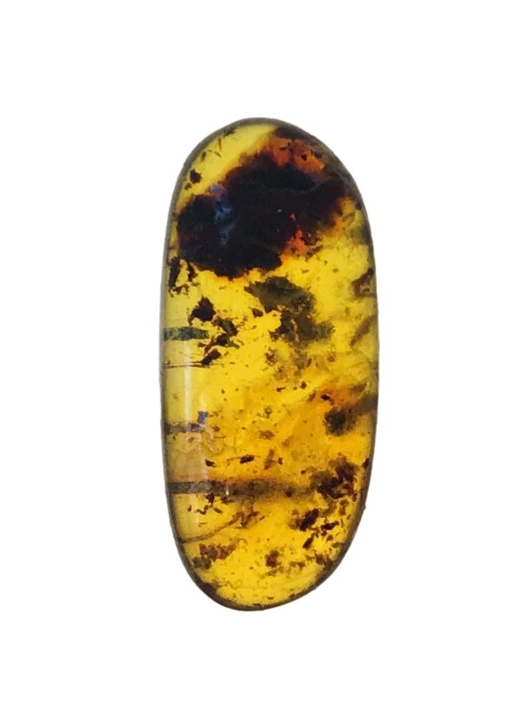Genuine Amber Specimen with Insect Inclusions - 1" X 3/8"