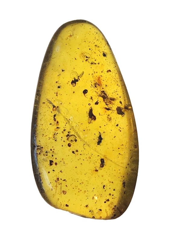 Genuine Amber Specimen with Insect Inclusions - 1 5/16" x 5/8"