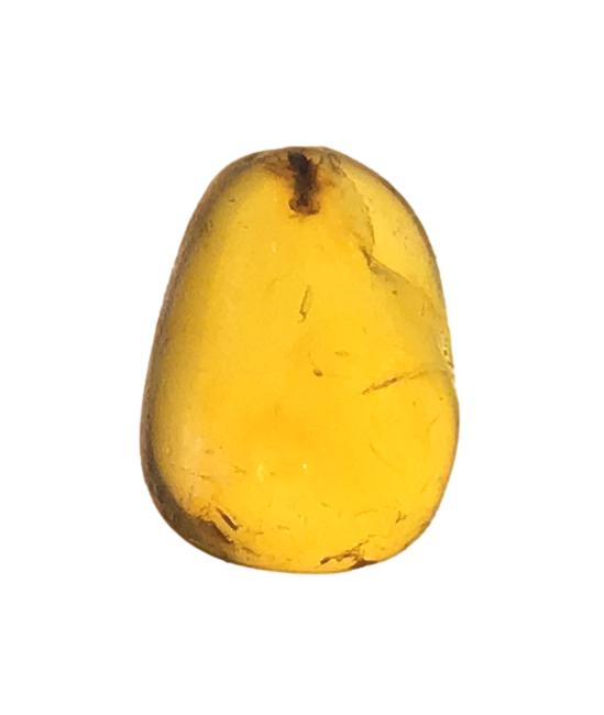 Genuine Amber Specimen with Insect Inclusions - Originally $150, Now $99 (A9)