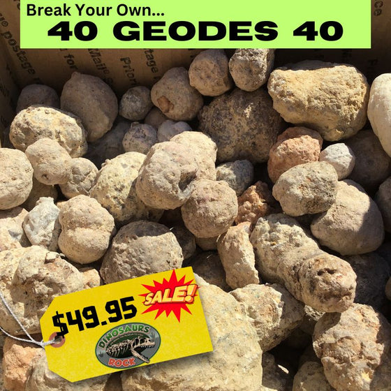 GEODES - 40 Crack Your Own Crystal-filled Geodes for only $49.95