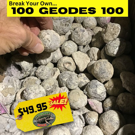 GEODES - 100 Break Your Own Geodes for only $49.95 FREE Priority Mail SHIPPING!