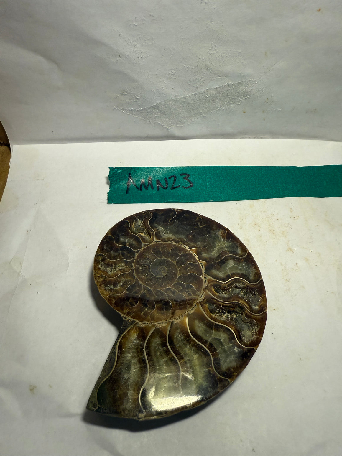 Ammonite Pair (AMN23) - Split & Polished - Madagascar - 3.75 Inches from DINOSAURS ROCK