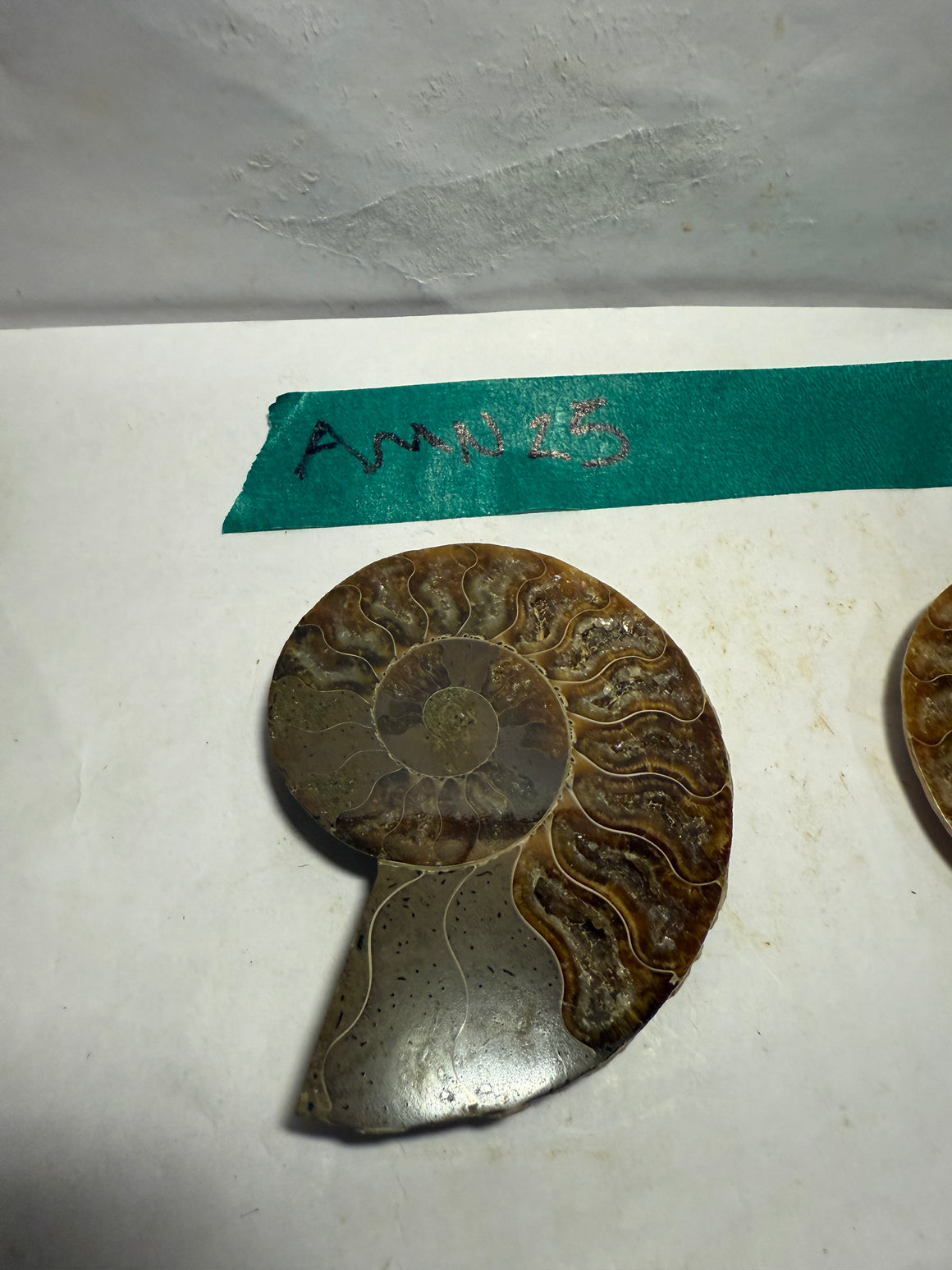 Ammonite Pair (AMN25) - Split & Polished - Madagascar - 3.25 Inches from DINOSAURS ROCK