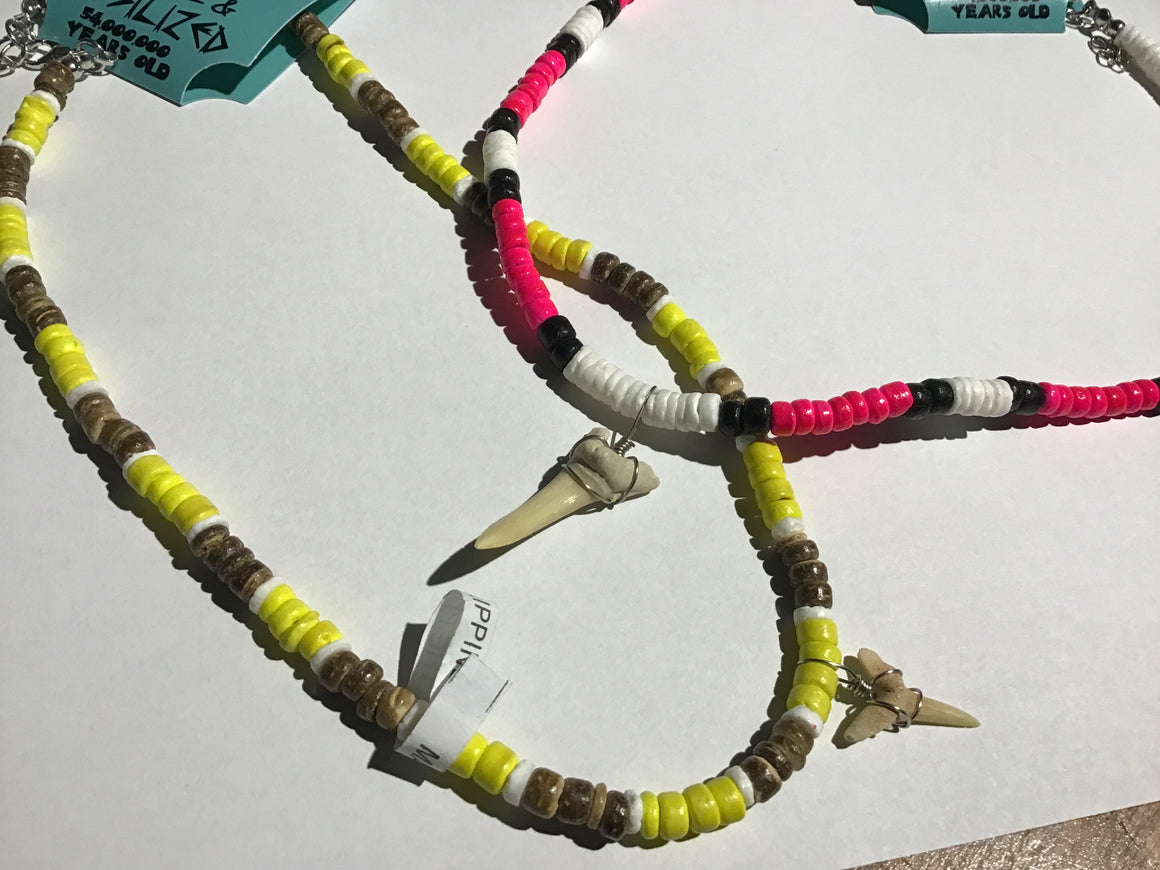 7-Pce Rock Collection with FREE Genuine Fossil Shark Tooth Necklace FREE SHIPPING