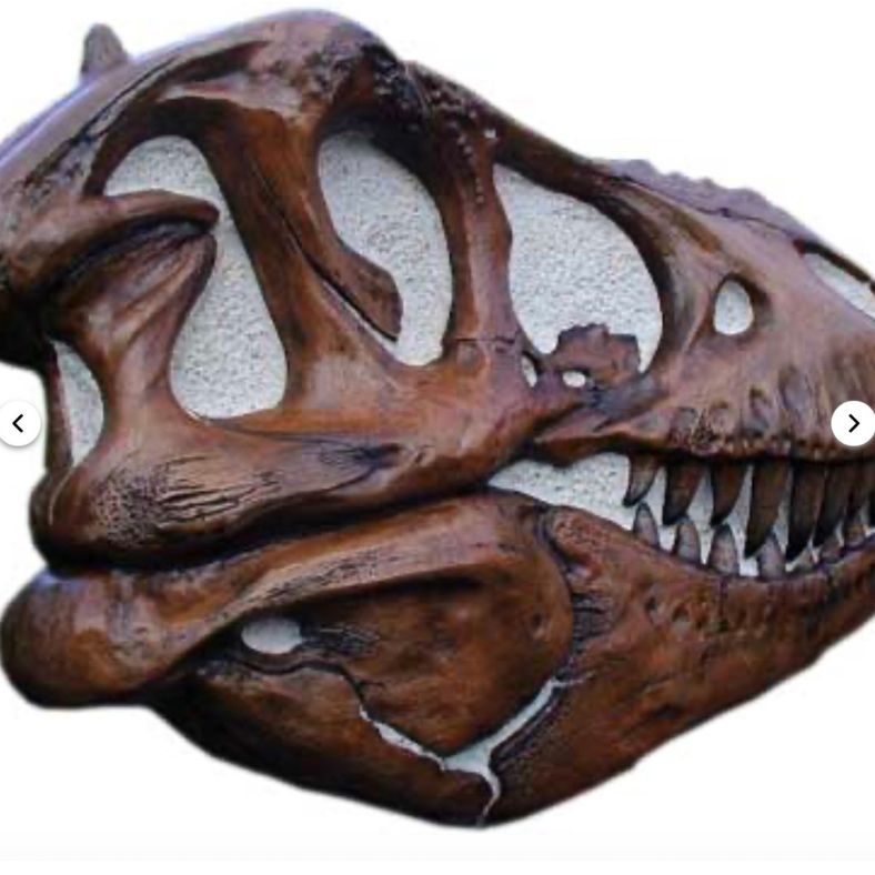 Tyrannosaurus Rex T-Rex Life-Size Skull Replica - Sculpture  - 51" x 38.75"