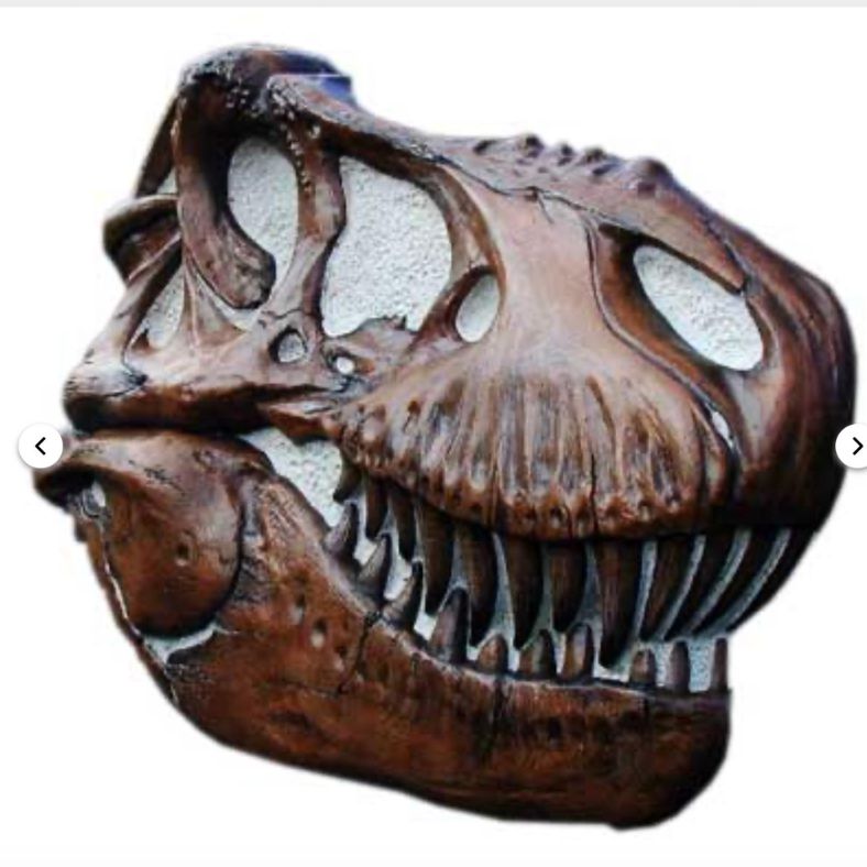 Tyrannosaurus Rex T-Rex Life-Size Skull Replica - Sculpture  - 51" x 38.75"