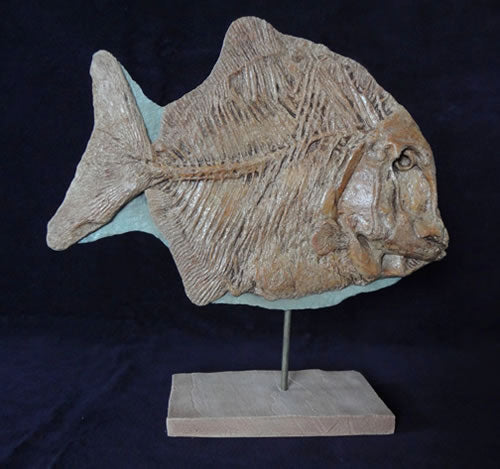 Santana Fish Replica - dinosaursrocksuperstore