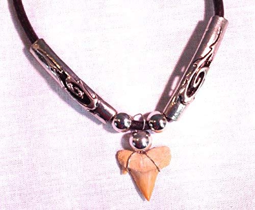 Fossil Shark Tooth Necklace with Silver Beads - Adjustable Length 18"-21" - dinosaursrocksuperstore