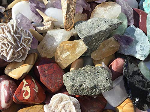 Mineral Collection Activity Kit - 150+ Pieces - with Educational Info and ID Chart - Bonus Geode & Spinosaurus Dino Tooth and much more.... - dinosaursrocksuperstore