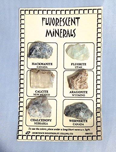 Fluorescent Mineral ID Chart with 6 samples from DINOSAURS ROCK® - dinosaursrocksuperstore