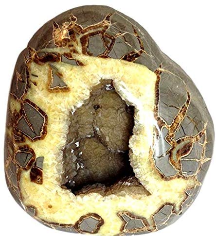 Incredible Genuine Septarian Crystal-filled Geode - 9" high - Superb Collector's or Museum Specimen! - dinosaursrocksuperstore