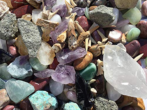 Mineral Collection Activity Kit - 150+ Pieces - with Educational Info and ID Chart - Bonus Geode & Spinosaurus Dino Tooth and much more.... - dinosaursrocksuperstore