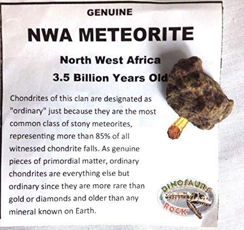 Genuine Meteorite - from Northwest Africa - 1 Billion Years Ol - dinosaursrocksuperstore