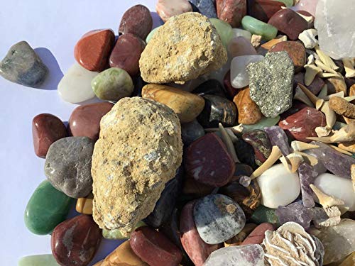 Mineral Collection Activity Kit - 150+ Pieces - with Educational Info and ID Chart - Bonus Geode & Spinosaurus Dino Tooth and much more.... - dinosaursrocksuperstore
