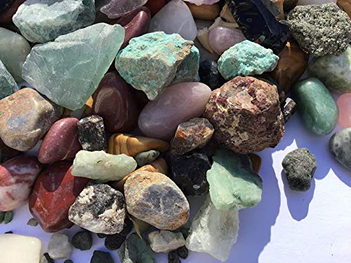 Mineral Collection Activity Kit - 150+ Pieces - with Educational Info and ID Chart - Bonus Geode & Spinosaurus Dino Tooth and much more.... - dinosaursrocksuperstore