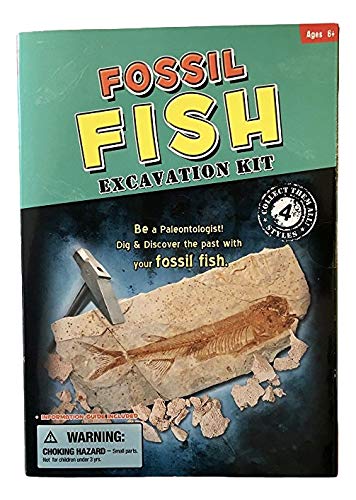 Fossil Fish (Replica) Aquatic Excavation Dig Kit - with Real Fossil Fish Sample! - dinosaursrocksuperstore
