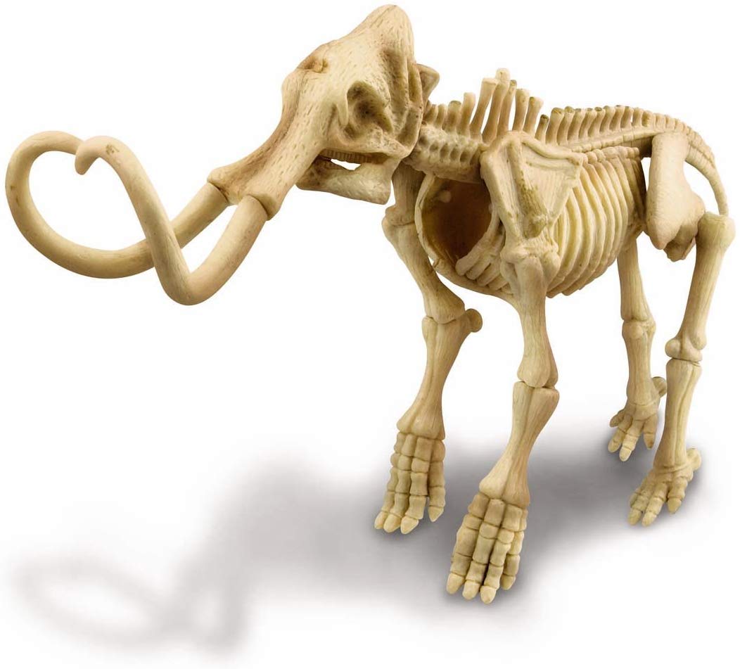 4M Mammoth Excavation Kit - dinosaursrocksuperstore