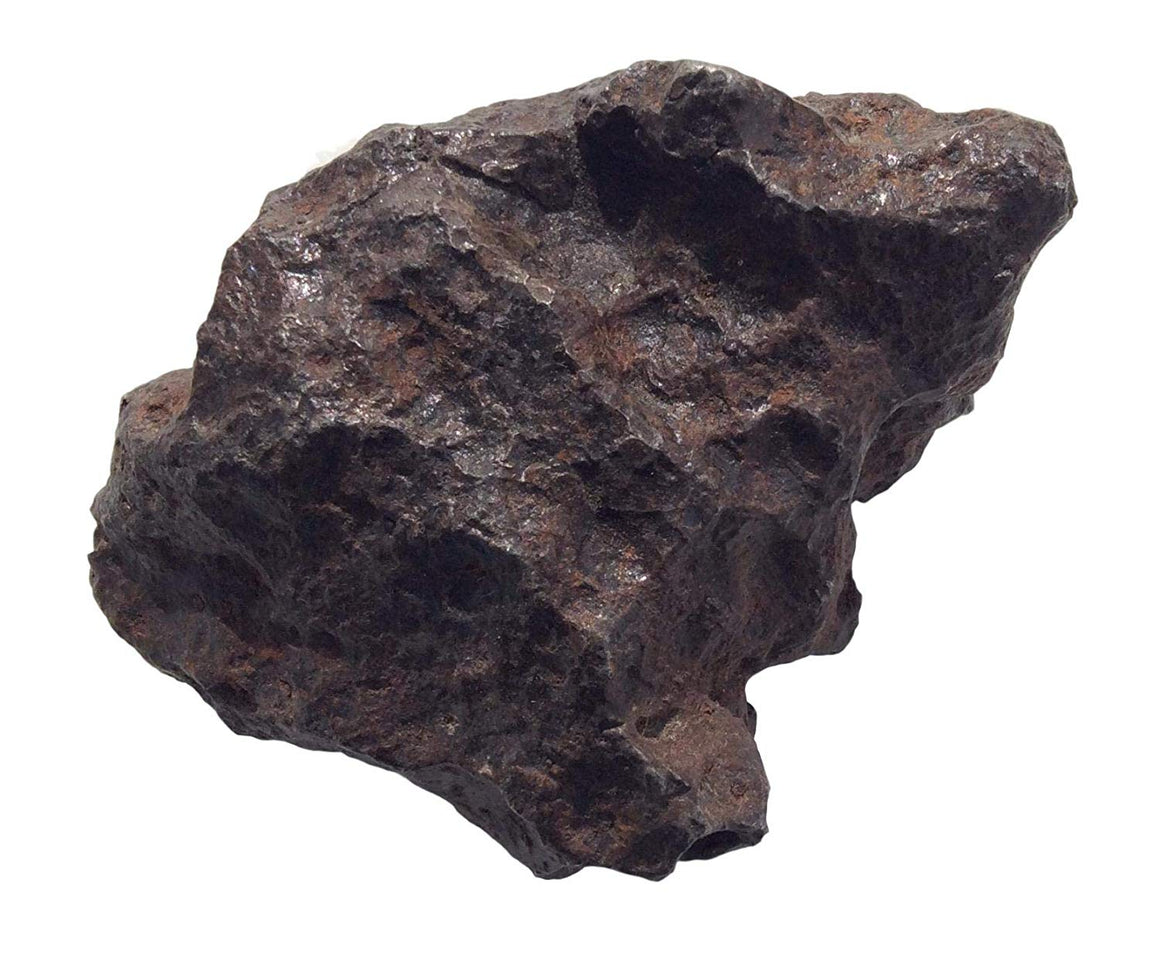 Meteorite (M1) Campo de Cielo (Over 2-Lbs) - dinosaursrocksuperstore