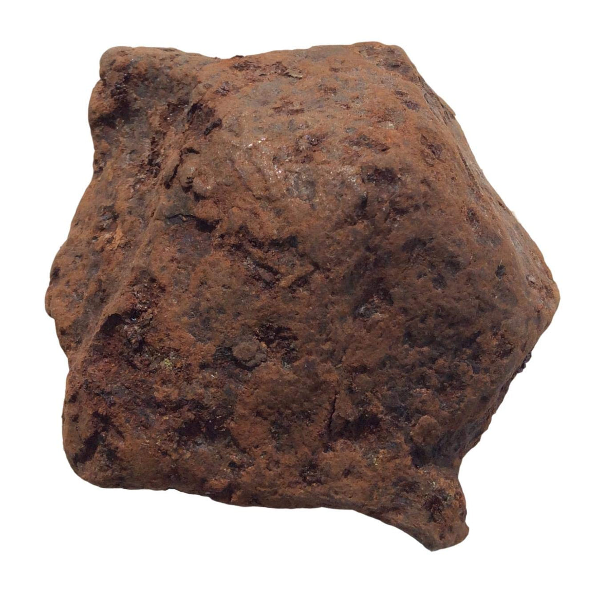 Meteorite Campo de Cielo (1-lb 5.6 oz) 680 Grams - dinosaursrocksuperstore