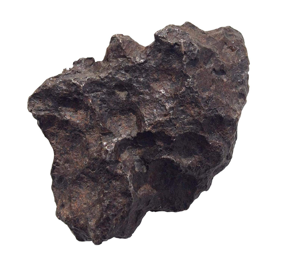 Meteorite (M1) Campo de Cielo (Over 2-Lbs) - dinosaursrocksuperstore