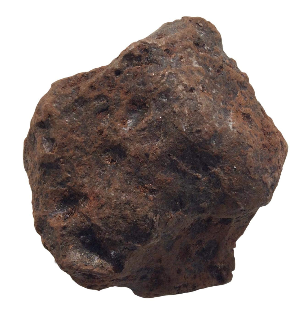 Meteorite (M7) Campo de Cielo (2-Lb 2.6 oz) 997 Grams - dinosaursrocksuperstore