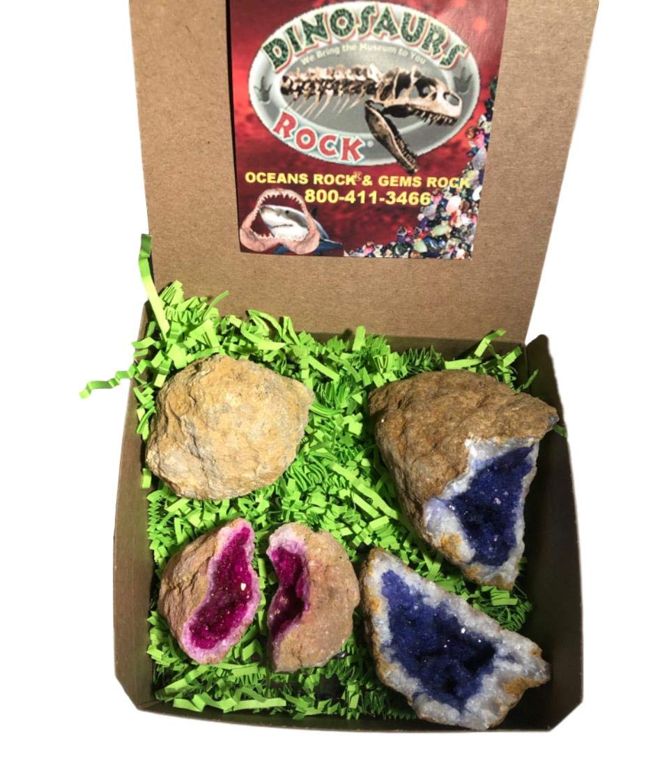 Geode Gift Collection - Set of 3 - Pink and Blue Dyed Split and 1 Crack-Your Own Natural - with Gift Box - dinosaursrocksuperstore