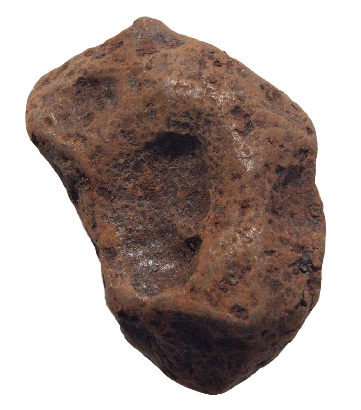 Meteorite Campo de Cielo (1-Lb 8 oz) 816 Grams - dinosaursrocksuperstore