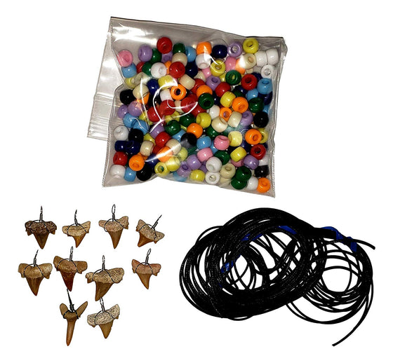 Make-Your-Own Fossil Shark Tooth Necklace Kits - Set of 10 - dinosaursrocksuperstore