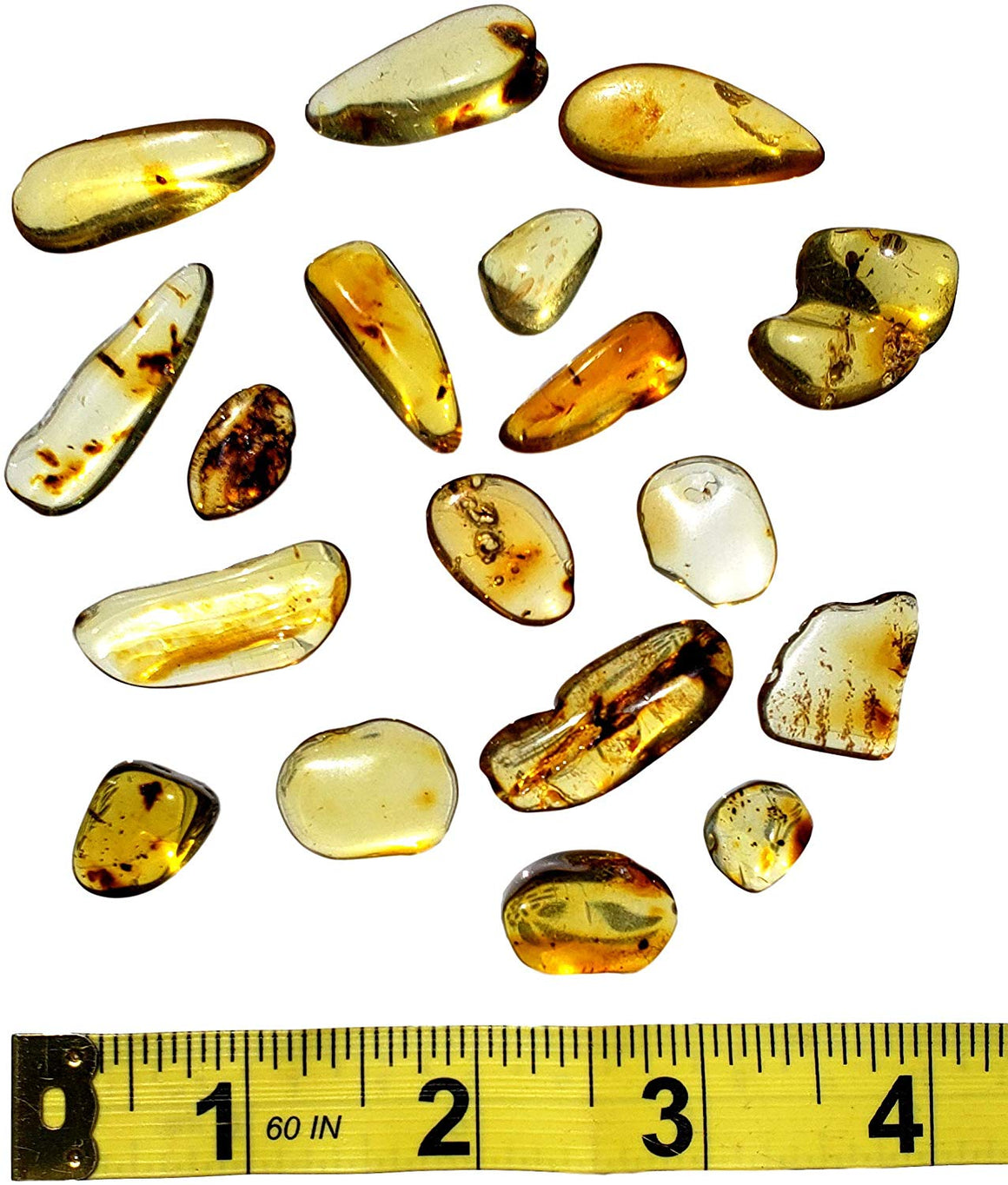 Genuine Colombian Amber Fossil Specimen - Naturally Formed - May Contain Inclusions - Great Collectible - dinosaursrocksuperstore