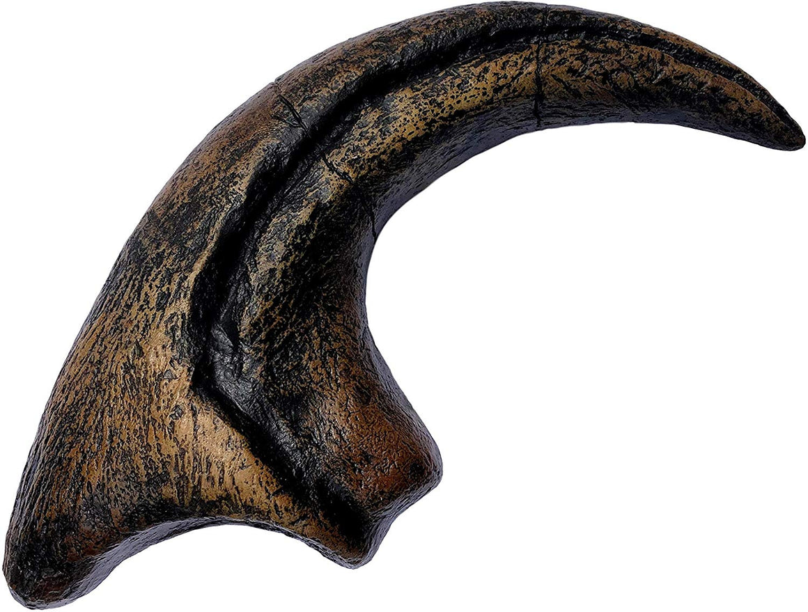 Allosaurus Fragilis Dinosaurs Claw Replica - 11.5" Museum Quality Replica - dinosaursrocksuperstore