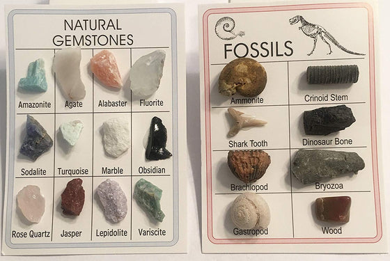 Fossil & Mineral ID Charts - 12 Minerals and 8 Fossils - Great for Science Fairs - dinosaursrocksuperstore