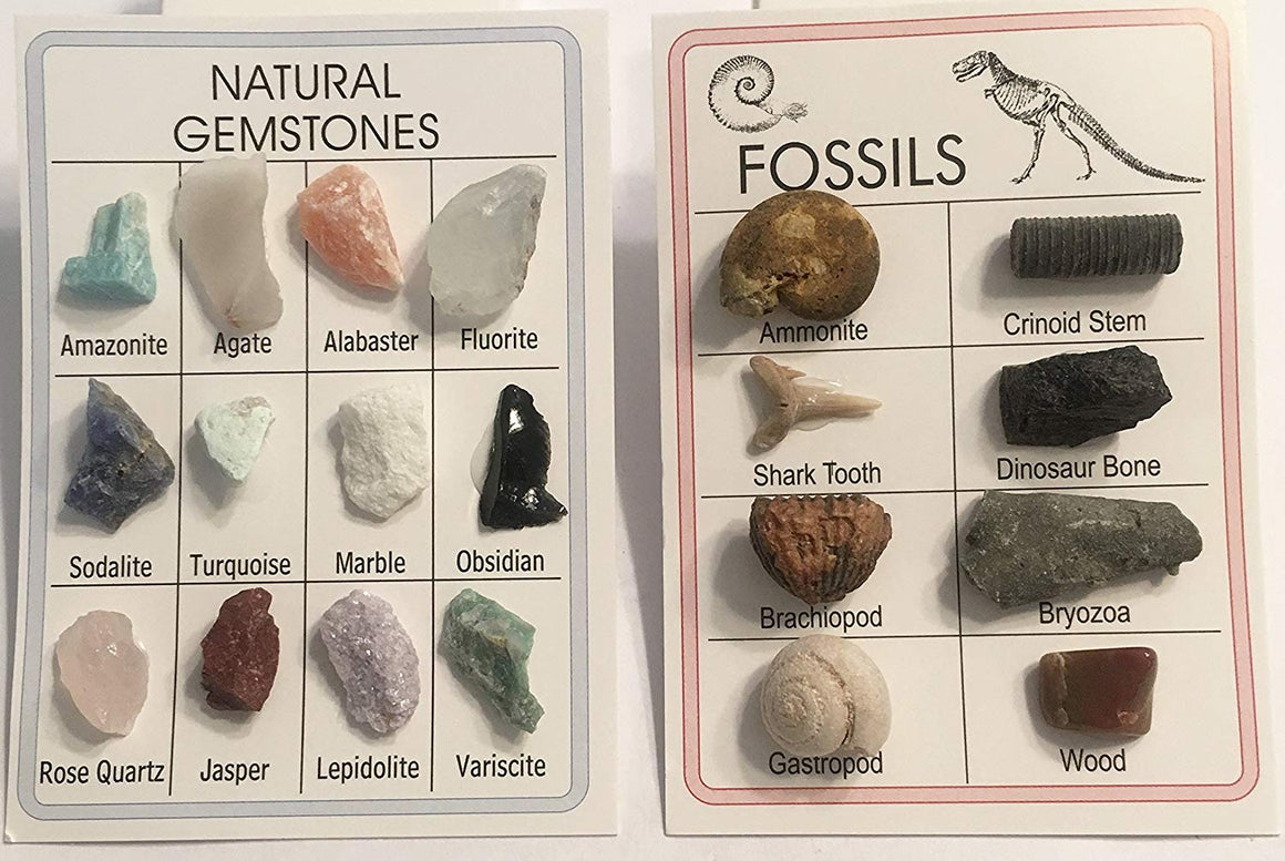 Fossil & Mineral ID Charts - 12 Minerals and 8 Fossils - Great for Science Fairs - dinosaursrocksuperstore