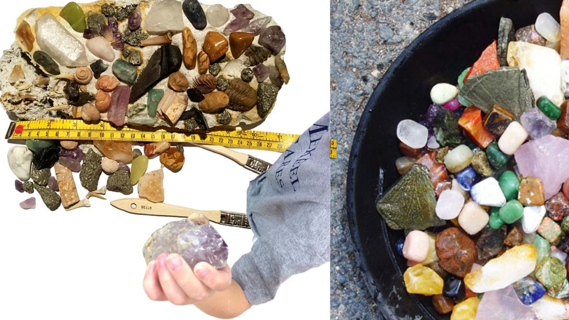 At Home Family Fun VIRTUAL Event  - Fossil & Mineral Activities & Zoom Class with Museum "Tour" - dinosaursrocksuperstore
