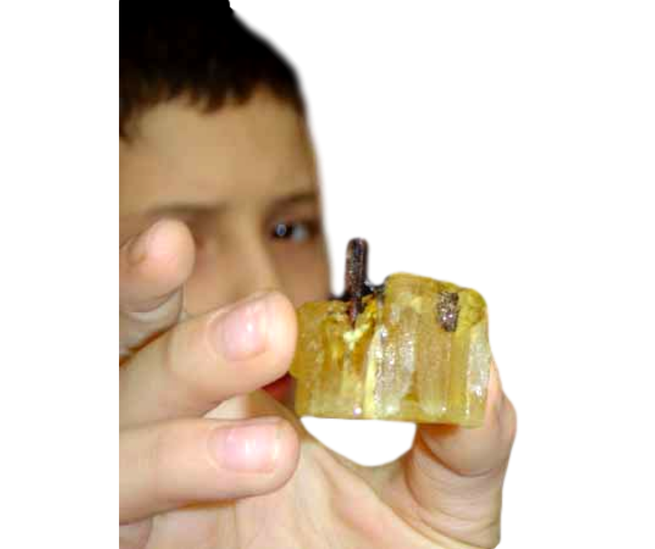 At Home Family Fun VIRTUAL Event  - Fossil & Mineral Activities & Zoom Class with Museum "Tour" - dinosaursrocksuperstore